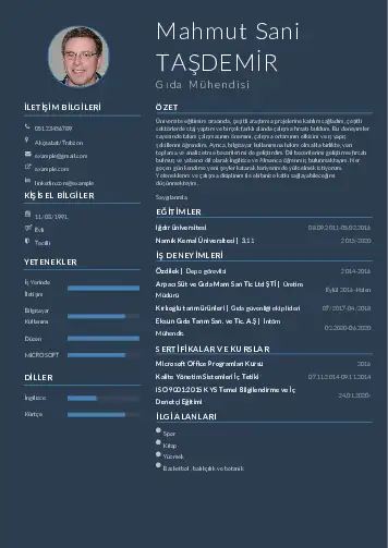 Gıda Mühendisi CV Örnekleri cv indir